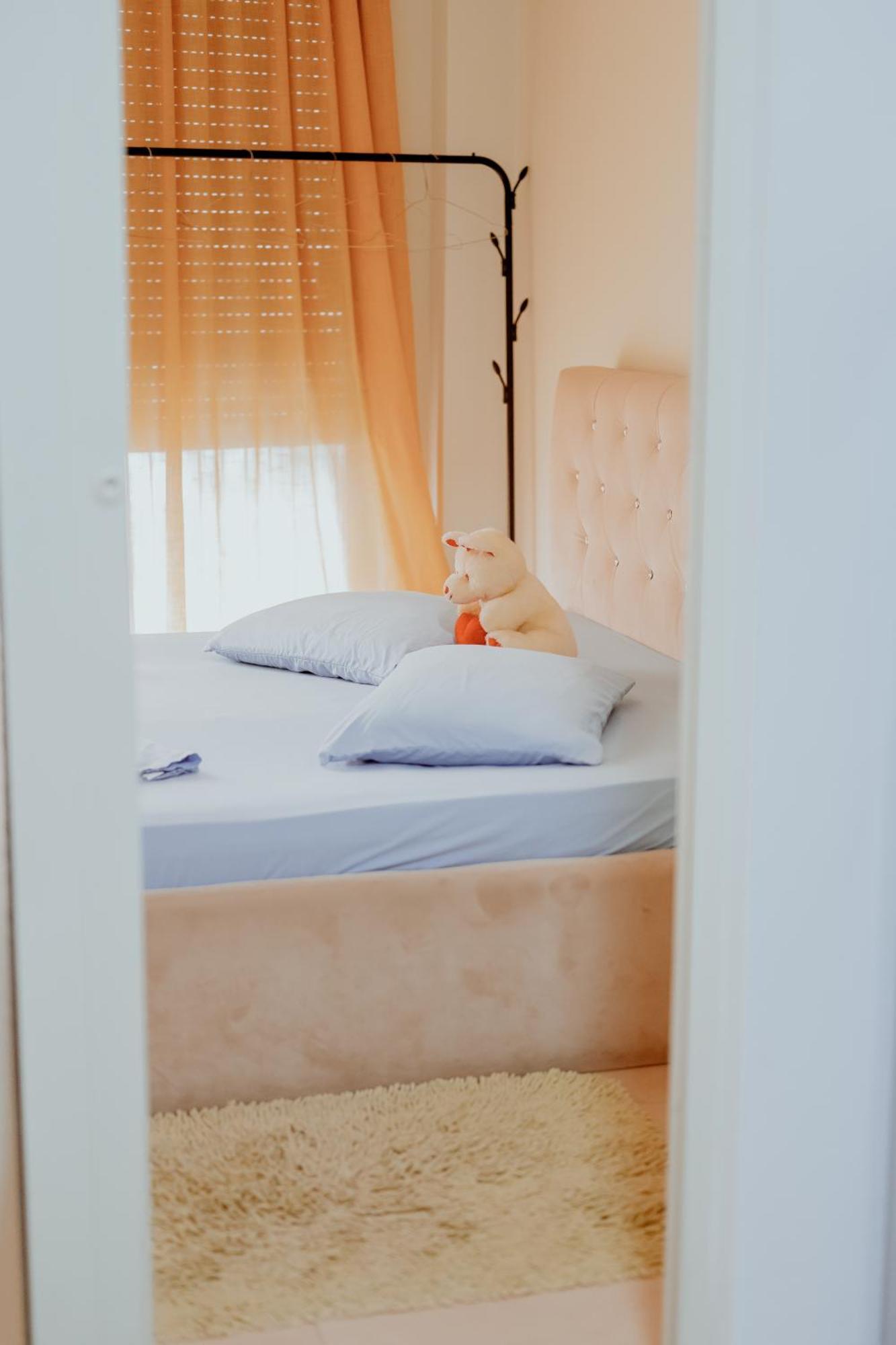 Pretty Smart Appartment 地拉那 外观 照片